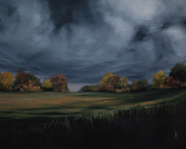 Stormy Autumn Evening by Dee Fairweather