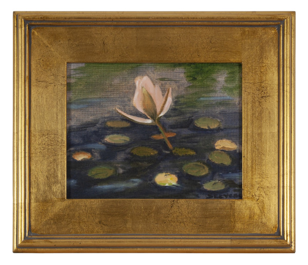Waterlily by Phyllis Stevens
