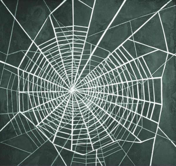 The Web by Phyllis Anna Stevens Estate