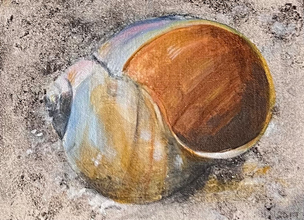 Seashell #1 by Mary Lou Dauray