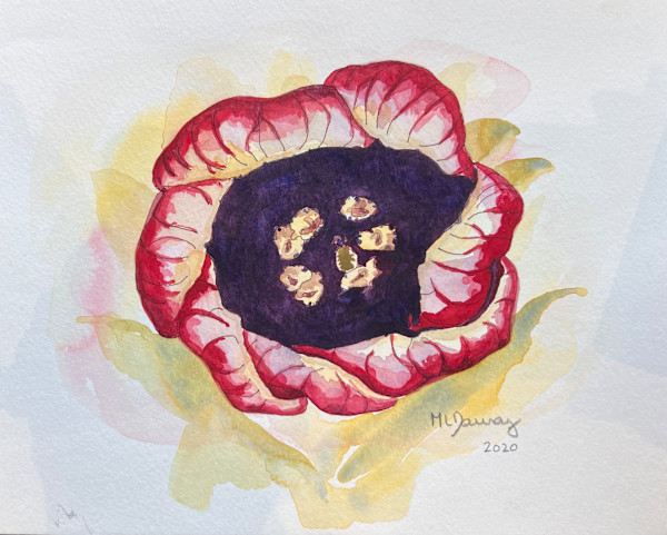 Hawaiian Flower 6 by Mary Lou Dauray