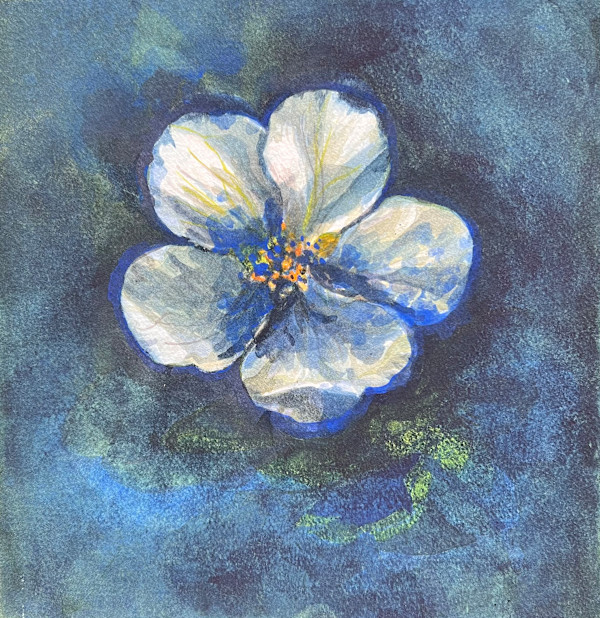 Hawaii Flower 12 by Mary Lou Dauray