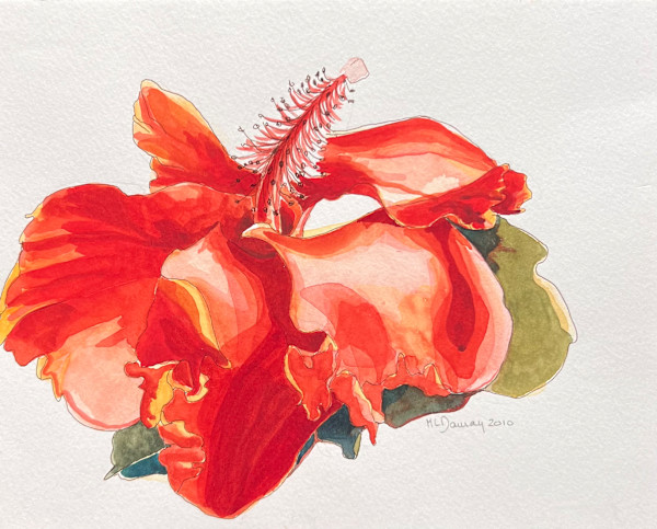 Hawaii Flower Hibiscus 18 by Mary Lou Dauray