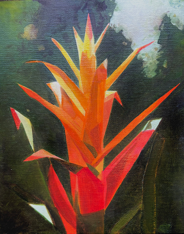 Hawaii Flower 9 by Mary Lou Dauray