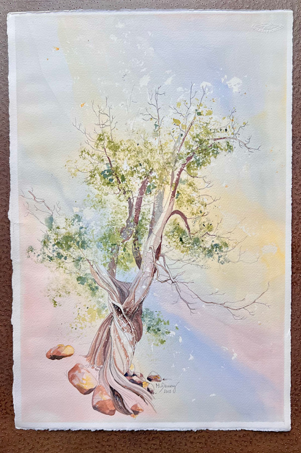 Ancient Juniper by Mary Lou Dauray