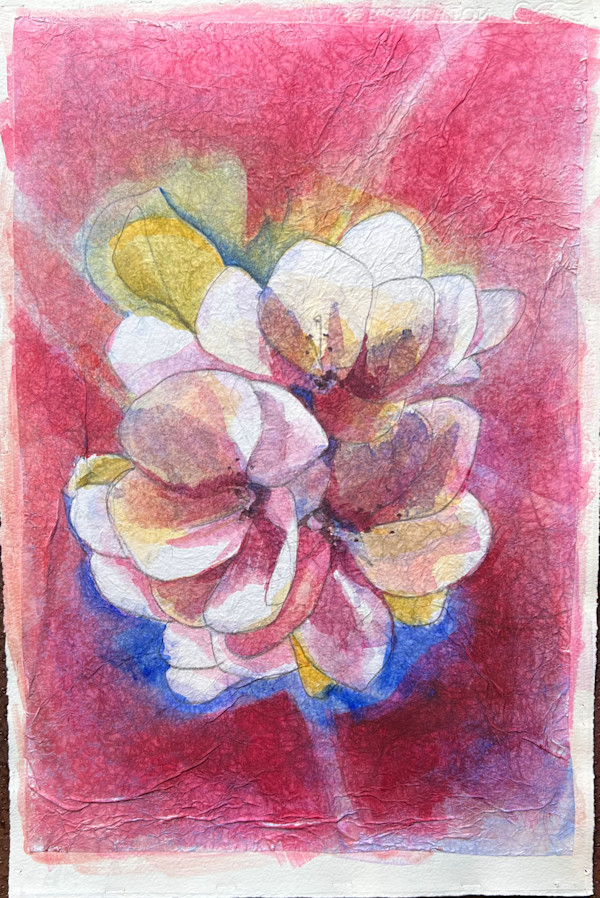 Spring Apple Blossoms by Mary Lou Dauray