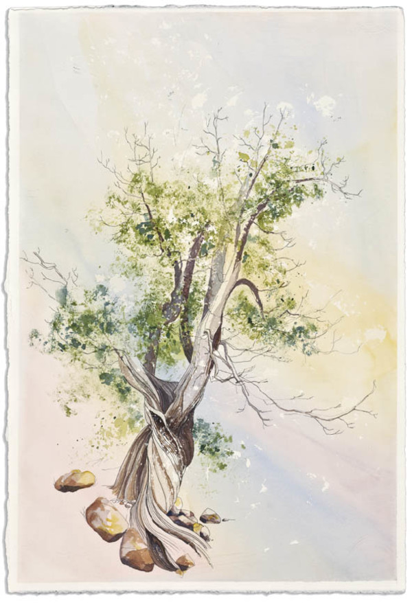 Tree by Mary Lou Dauray