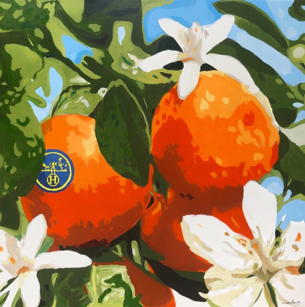 Hermes Oranges by Anna Bautista