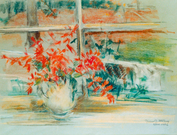 Salvia by the Window