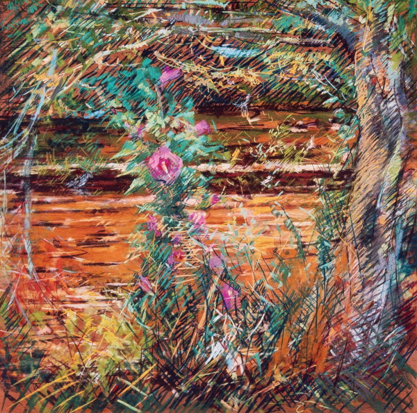The Rose of Sharon by the Creek by Miriam McClung