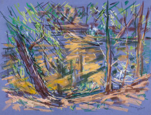 Creek Study on the Parkway by Miriam McClung