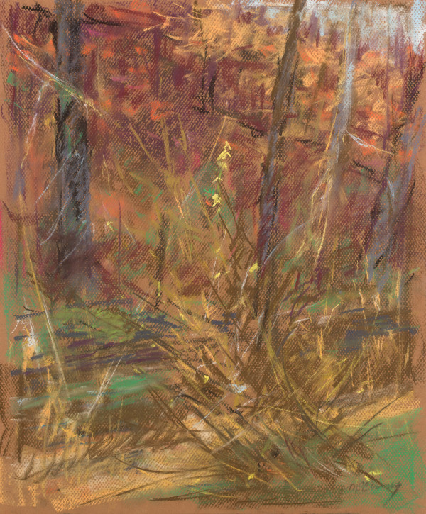 Creek Study by Miriam McClung