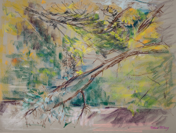 Backyard Study - Branches by Miriam McClung