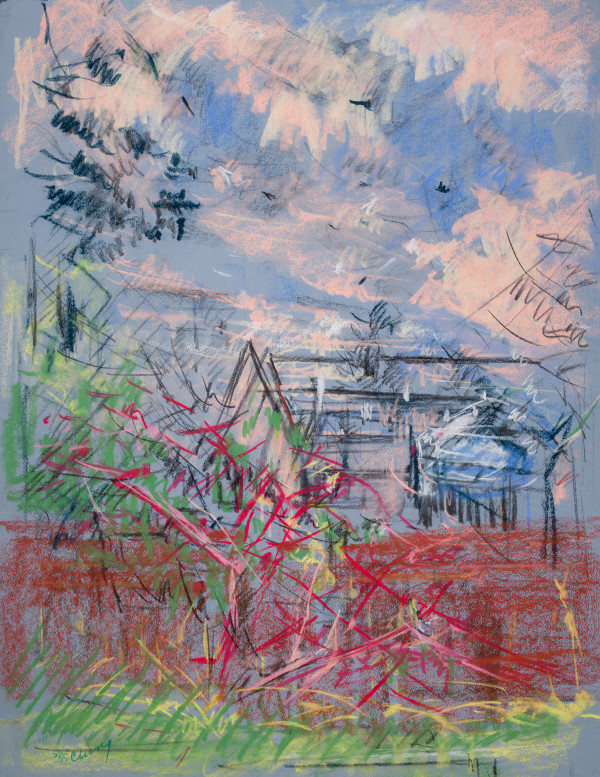 Pink Skies in the Backyard by Miriam McClung