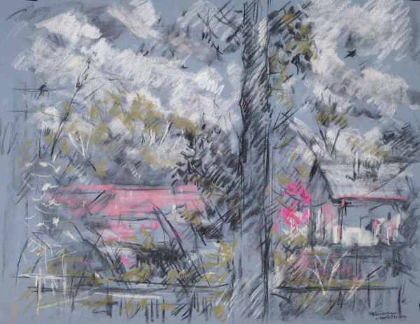 Backyard Study - Pink by Miriam McClung