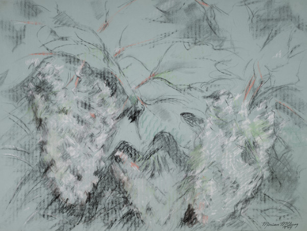 White Hydrangeas 2 by Miriam McClung