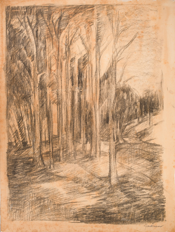 Early Drawing of Canterbury Road Hillside by Miriam McClung