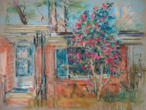 Mrs. Cunningham's Camellia Tree on Warren Road by Miriam McClung