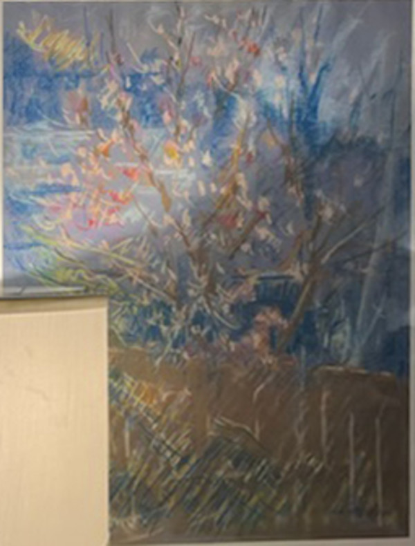 Mimosa by Miriam McClung, Image 2.