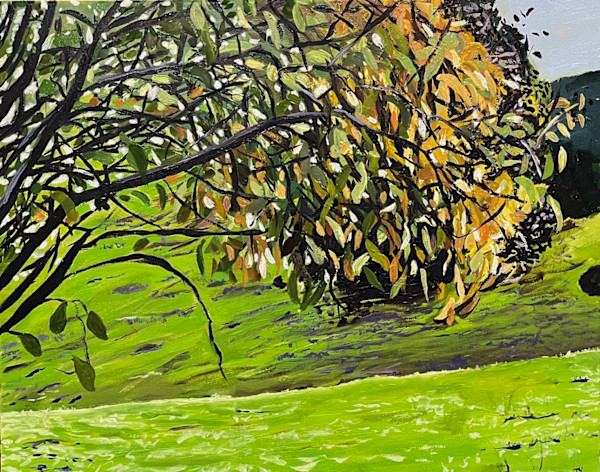 Tree, Yard, and Hill by June Yokell