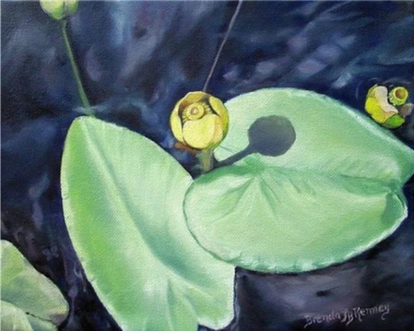 Water Lily by Brenda L.B. Kenney