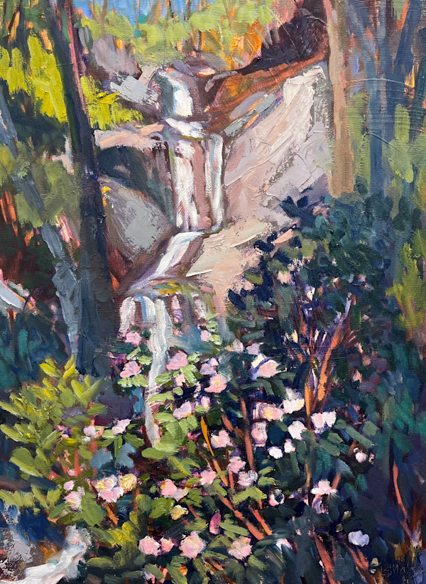 Chasing Waterfalls by Bridgette Martin Fine Art
