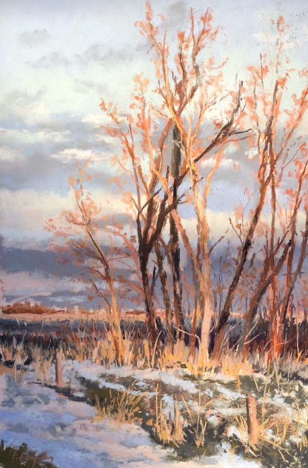 Winter Wetland by Laura Lengeling