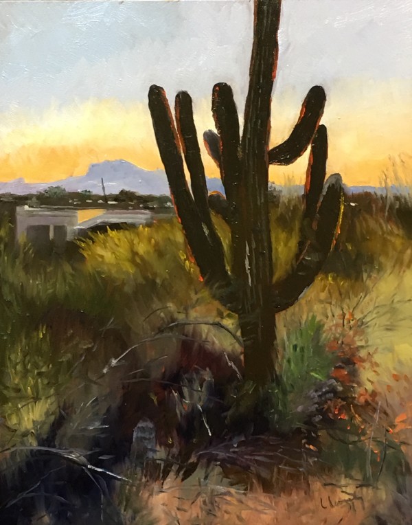 Sundown in Tucson by Laura Lengeling