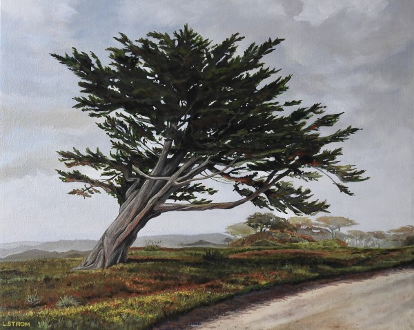 Windswept Cypress by Lori Strom