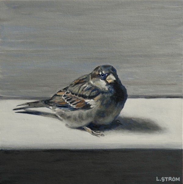 House Sparrow by Lori Strom