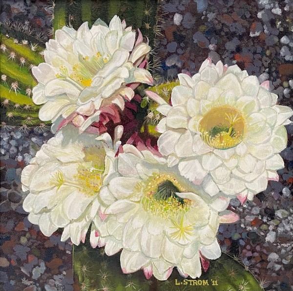 Cactus Flowers by Lori Strom