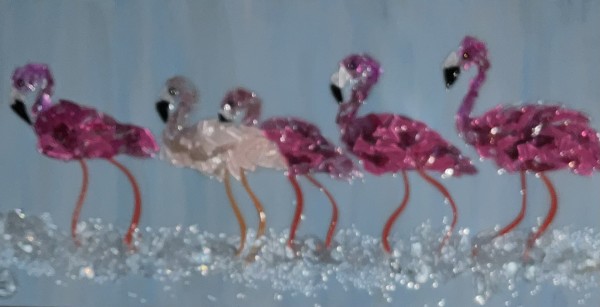 Land of the Wings by Janet Sams