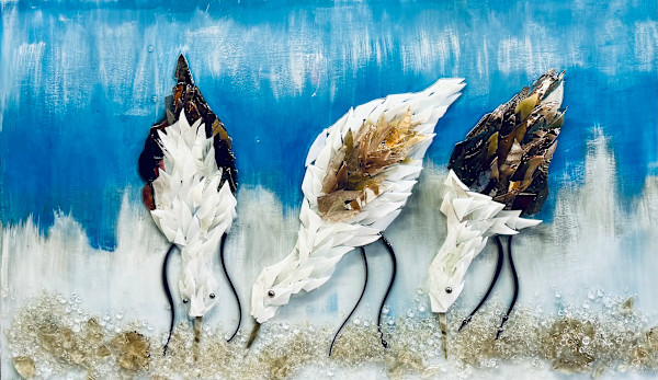 Tidewalkers by Janet Sams