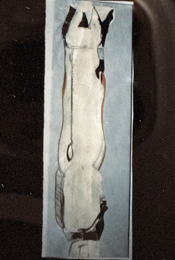 Single Canine by Vincent Castagnacci, Image 1.