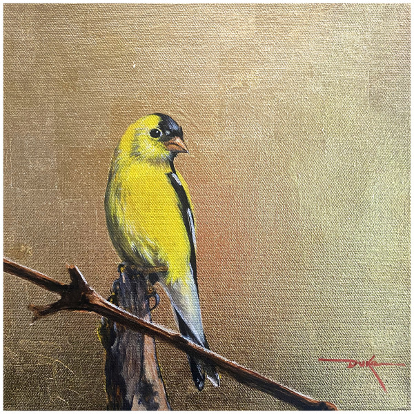American Goldfinch by Duke Windsor