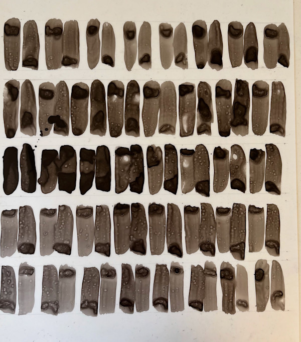 40 Breaths by Tauna M Cole, Image 1.