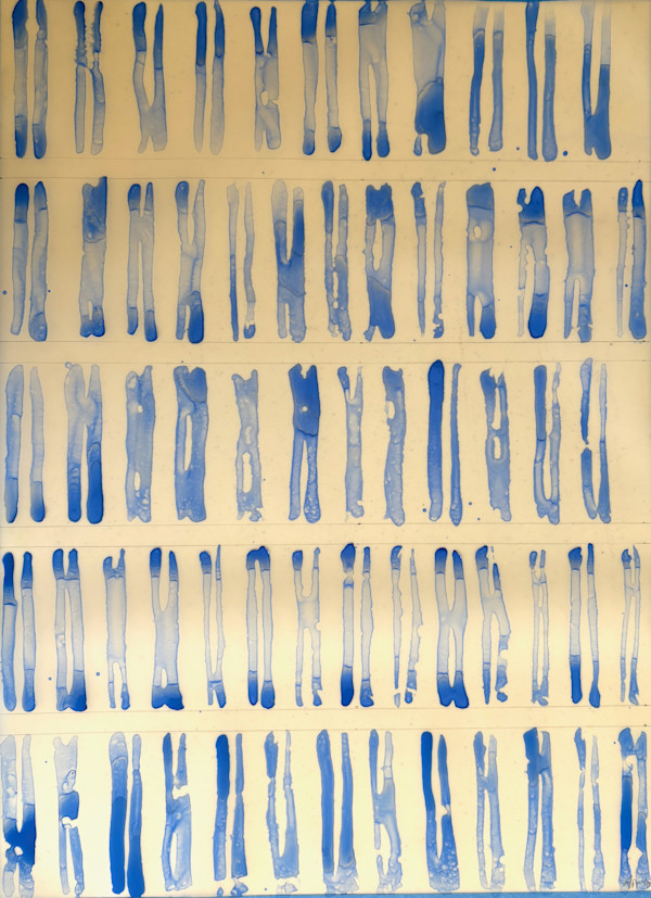61 Breathes by Tauna M Cole, Image 1.