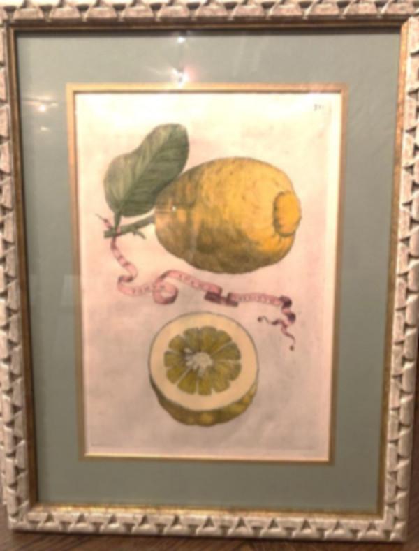 Pomum Adami Rheginum