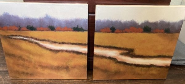 Untitled ( Marsh diptych) by Rita Viridedzis