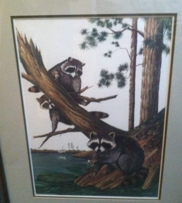 Raccoon Family by Bill Wesling