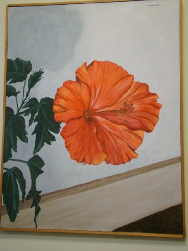 Hibiscus by Ulrike Stadler