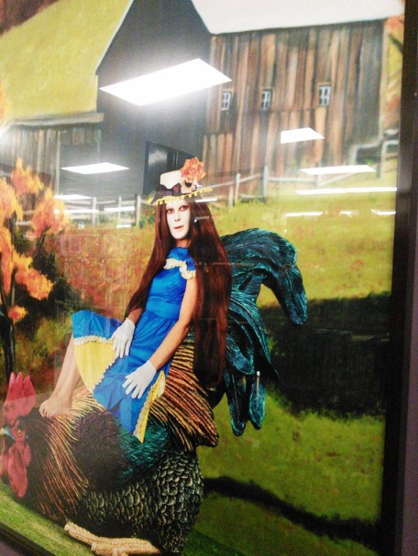 Reclining Rooster by Marnie Weber