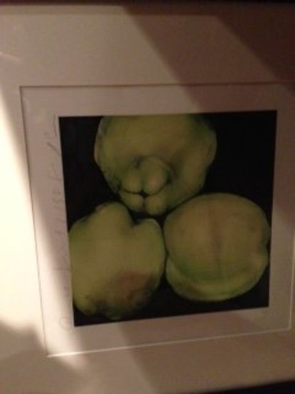 Quince by Donald Sulton