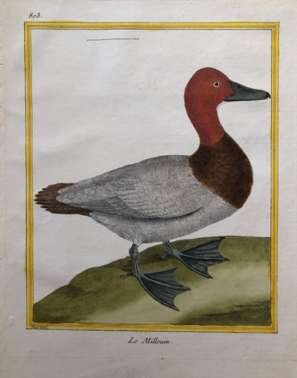 Le Millouin by Francois-Nicolas Martinet