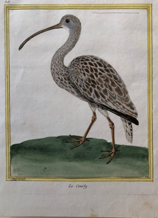 Le Courly by Francois-Nicolas Martinet