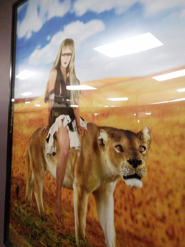 The Lioness by Marnie Weber