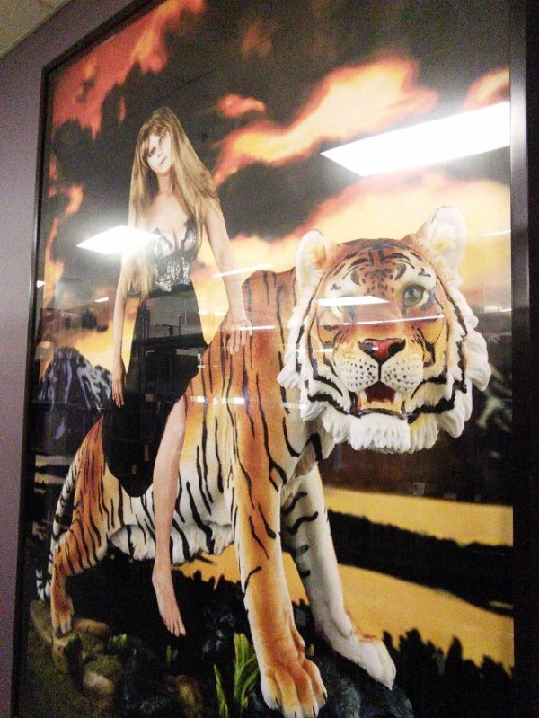 The Tiger by Marnie Weber