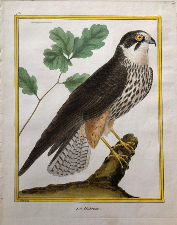 Le Hobreau by Francois-Nicolas Martinet