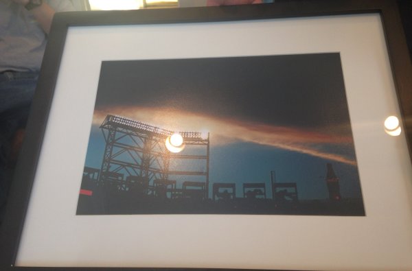 Coca-Cola Sky Field, Turner Field by Allison Sherriffs