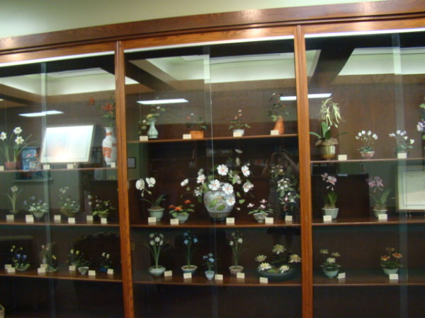 Flower Collection by Wiliam Wood